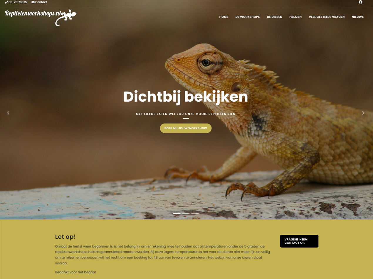 Reptielen Workshops